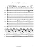 Divertimento in C für Kammerorchester
