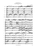 Concertino in C für Querflöte und Streicher