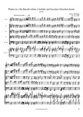 Plainte in e für Barockvioline, Cembalo und barockes Streichorchester