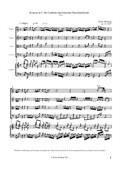 Konzert in C für Cembalo und barockes Streichorchester