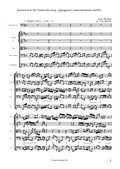 Konzert in D für Arpeggione oder Violoncello, Streichorchester und B.c.