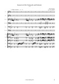Konzert in D für Arpeggione (Violoncello) und Orchester
