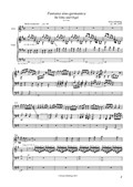 Fantasia sino-germanica für Erhu und Orgel pedaliter