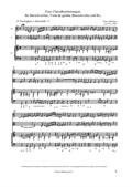 Zwei Choralbearbeitungen  für Barockvioline, Viola da gamba (Barockviola) und B.c.