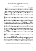 Drei Choralbearbeitungen für Barockviola und Orgel