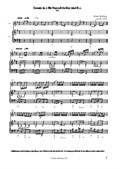 Sonate in e für Barockvioline und B.c.